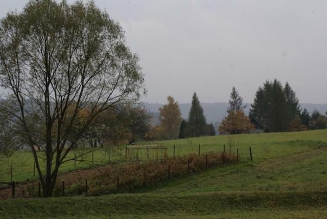 Вилла Agroturystyka U Maciejowej Лянцкорона Экстерьер фото