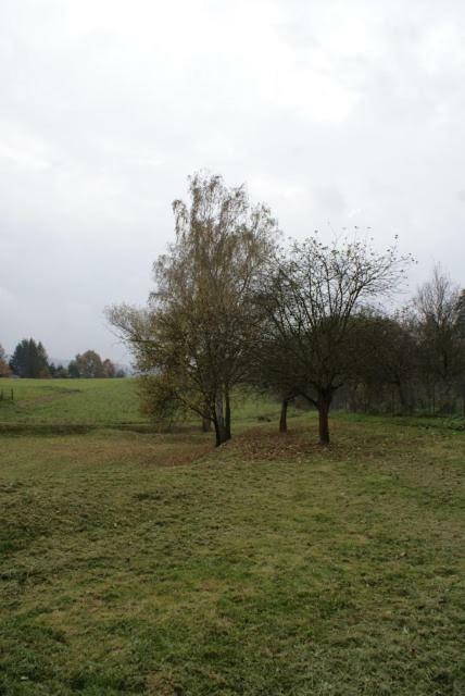 Вилла Agroturystyka U Maciejowej Лянцкорона Экстерьер фото